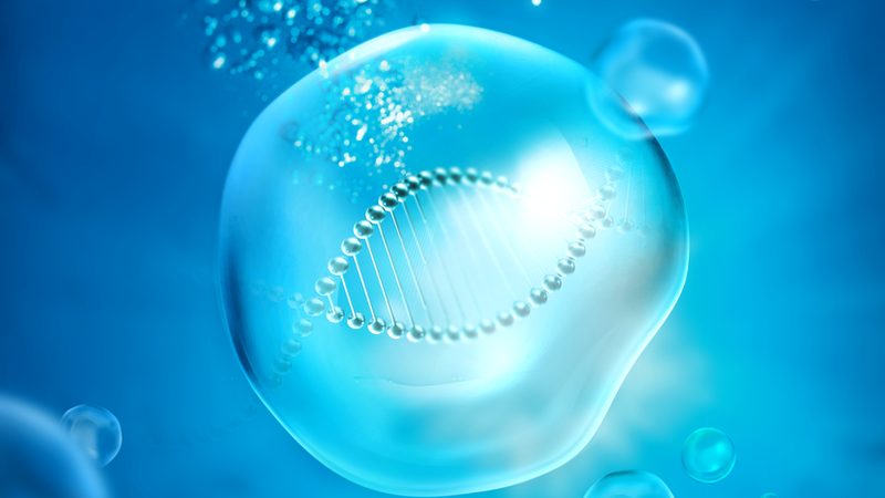 分子生物学试剂定制生产的成本考量：关键因素与优化策略