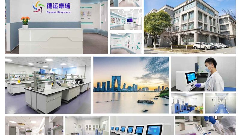 酶型号大全：解码生物催化世界的密码