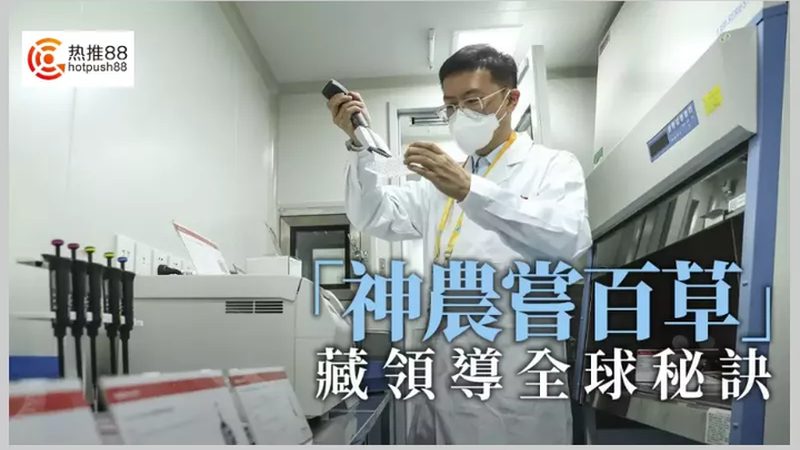 工业酶厂家排名背后的考量因素