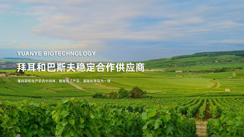 PCR检测试剂盒：揭秘其背后的技术奥秘与应用场景