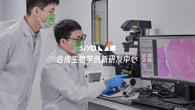 CHO细胞培养基使用，这些关键步骤不可忽视**