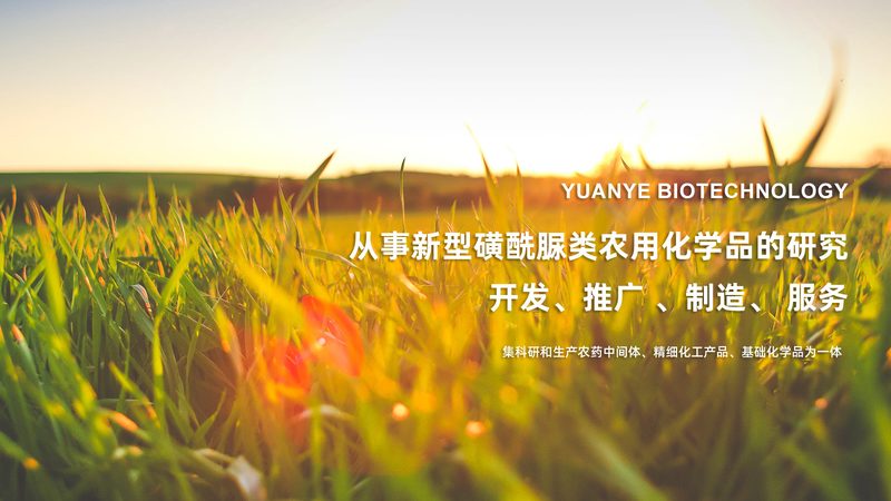 抗体产品质检报告：如何解读与查询