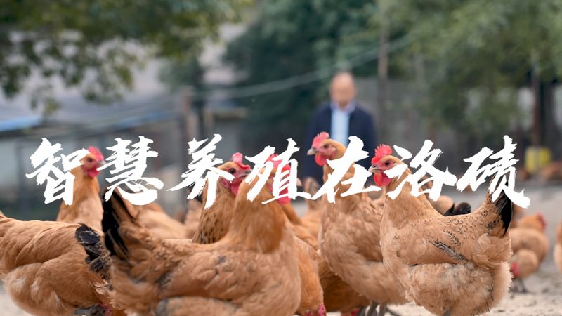 生物科技面膜与中药面膜：成分差异与功效解析**