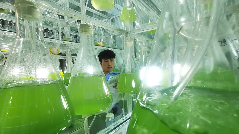 揭秘CRO定制化解决方案：报价背后的考量因素
